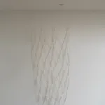 Emma Davies, Cooper Creek, 2026