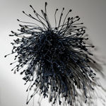 Emma Davies, Coracle, 2024