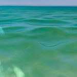 Alexis Herman, Rider!, 2025