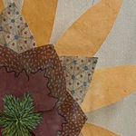 Daniel Anselmi, Untitled (7-14), 2024