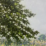 Thomas Sarrantonio, Field Painting July 9, 2022