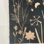 Julia Whitney Barnes, Cyanotype Painting (Tea Toned Gingko, Ferns, Petals, etc.), 2021