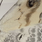 Joseph Scheer, Pericallia matronula male, 2015