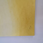 Julia Whitney Barnes, Cyanotype Painitng (Peony, Ferns, etc.), 2020