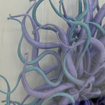 Catherine Latson, Specimen 45, 2025