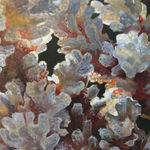 Andrea Kantrowitz, Tall Trees, 2024