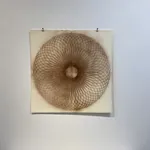 Mary Judge, Exotic Hex Series, 12/1, 2006