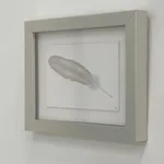 Margot Glass, Small Grey Feather, 2021