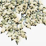 Jackie Battenfield, Virescent, 2019