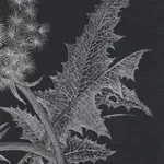 Margot Glass, Two Dandelions, 2019