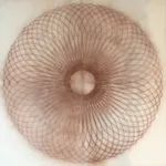 Mary Judge, Exotic Hex Series, 12/1, 2006