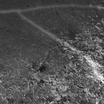 Laura Barr, Moonlit Surfer, 2023