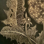 Margot Glass, Dandelion with Bud 2, 2019