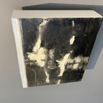 David Konigsberg, Swimmer series, 2020