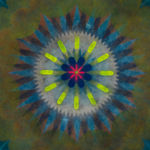 Mary Judge, Pop Flower Opus 14, 2019