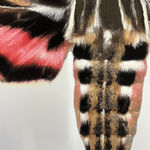 Joseph Scheer, Pericallia matronula male, 2015