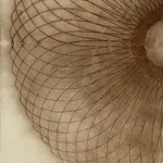 Mary Judge, Exotic Hex Series, 12/1, 2006