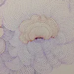 Sarah Morejohn, Cloudface, 2014