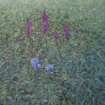 Thomas Sarrantonio, Performance, 2015