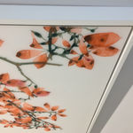 Daniel Anselmi, Untitled (7-14), 2024