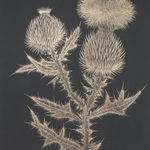 Margot Glass, Two Dandelions 2, 2019