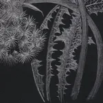 Margot Glass, Two Dandelions, 2019