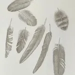 Margot Glass, Feather Group 3, 2021