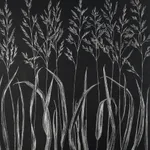 Margot Glass, Grasses, 2019