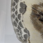 Joseph Scheer, Pericallia matronula male, 2015