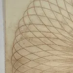 Mary Judge, Exotic Hex Series, 12/8, 2006