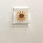 Daniel Anselmi, Untitled (7-14), 2024