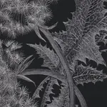 Margot Glass, Two Dandelions, 2019