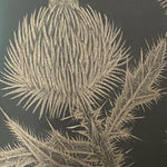 Margot Glass, Two Dandelions 2, 2019