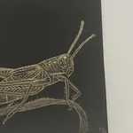 Margot Glass, Grasshopper, 2020