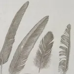 Margot Glass, Feather Group 3, 2021