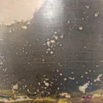 David Konigsberg, Arboreal #1, #2, #3 (triptych), 2018