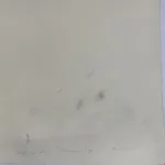 Mary Judge, Primavera Pop 5, 2022