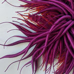 Jessica Maffia, Untitled 12, 2020