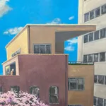 KK Kozik, Spring in the City