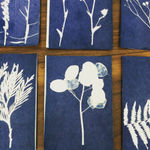 Kerry Lemon, And So To Sleep