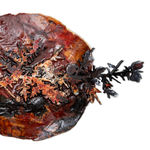 Kerry Lemon, And So To Sleep