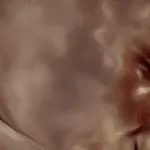 Arthur Lemonier (b. 1998), Sans titre, 2024