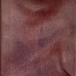 Arthur Lemonier, Umber study, 2025