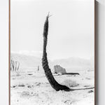 Sybren Vanoverberghe, From the Series 2099 - Pillar 01, 2017