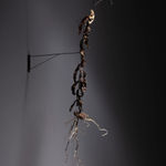 Javier Pérez, MALAS HIERBAS IV, 2024