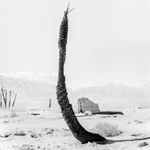 Sybren Vanoverberghe, From the Series 2099 - Pillar 01, 2017