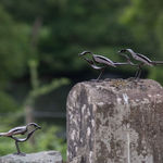 Helen Denerley, Spider, 2023