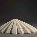 Duke Christie, White Limpet, 2020