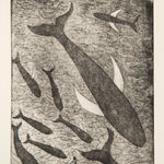 PAUL BLOOMER | whale song | kilmorack gallery