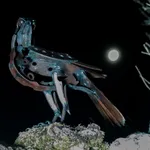 Helen Denerley, Goshawk, 2020